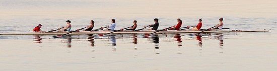 wisdom of pulling together