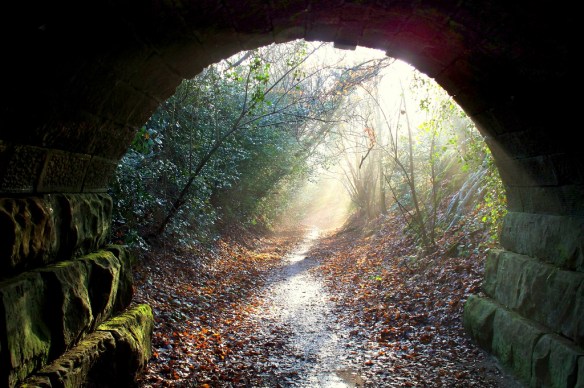 light at end of tunnell