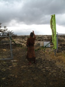 blessing the land (wdfi)