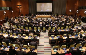 UN meeting (UN Info Centers)