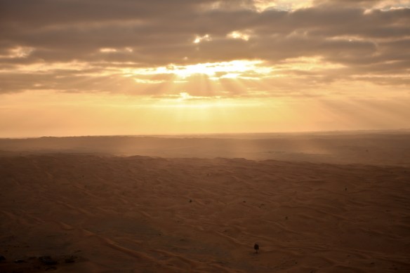 Arabian desert