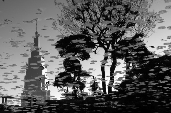 fall in black & white (ciro@tokyo)