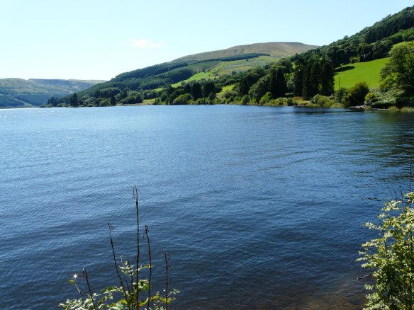 peaceful water scene